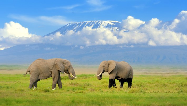 amboseli-tours